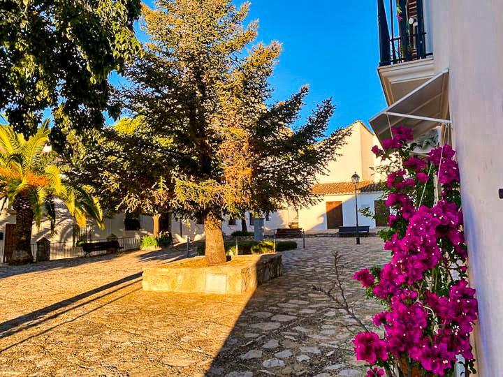 Grazalema - Casita La Calma - Incredible Views, Clima Frio-Calor, Wifi & Private Parking Optional Villa Exteriör bild
